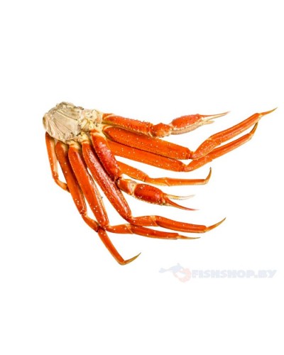 Краб шипастый конечности 2L